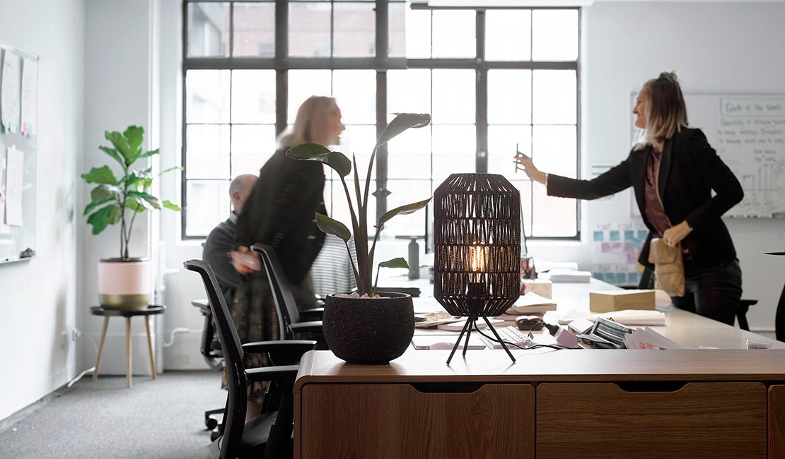 two women in sun-filled office showing phone screen to each other