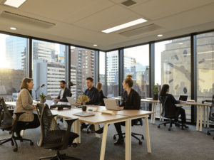 people in an office with a view of Sydney CBD