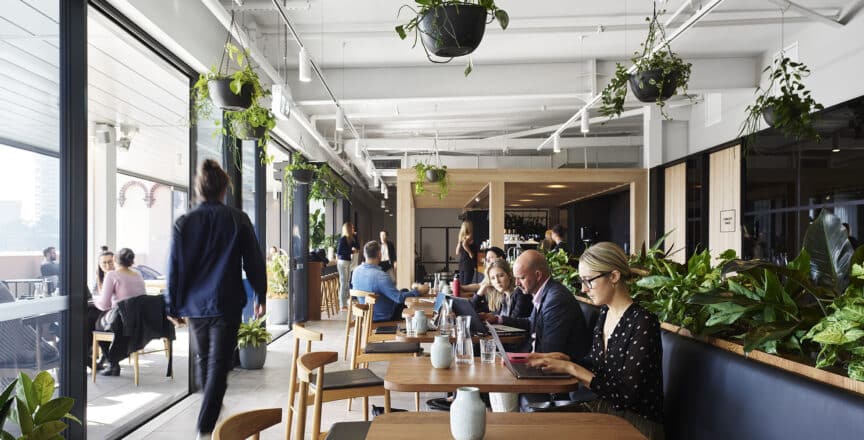 rooftop cafe with people working