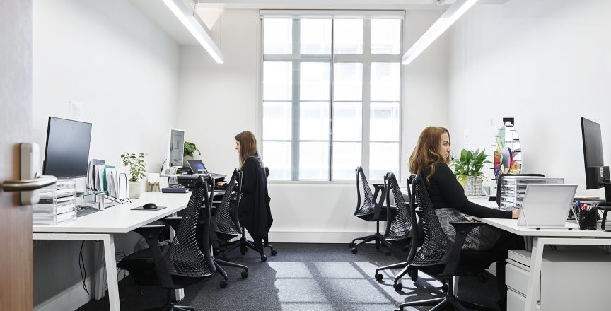 people in office working