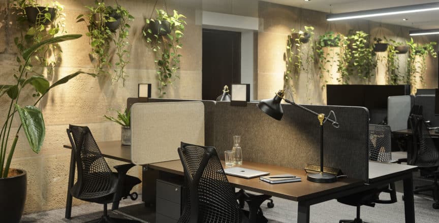 workspace with desks, chairs, and plants hanging from the ceiling