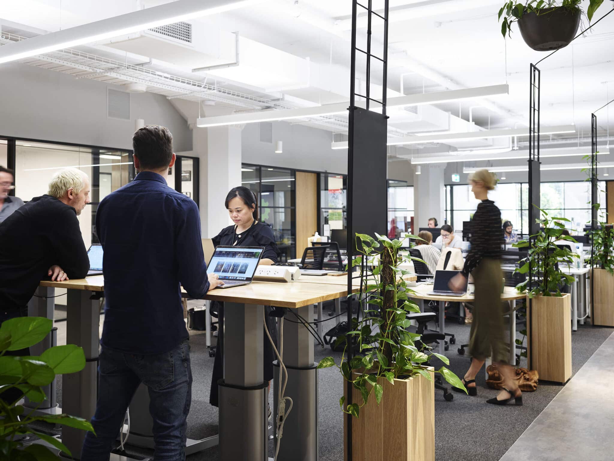 people working in an office on standing desks surrounded by plants