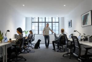 workers and a dog in an office setting
