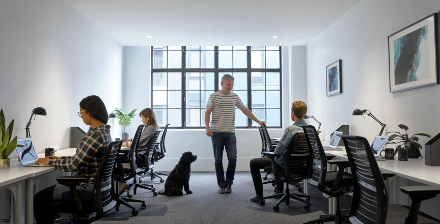 workers and a dog in an office setting