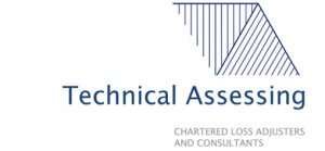 Technical assessing logo