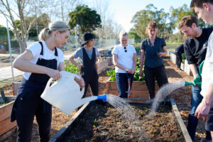 Hub australia team watering garden