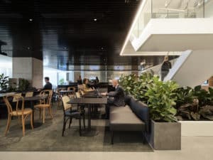 cafe area with people seated