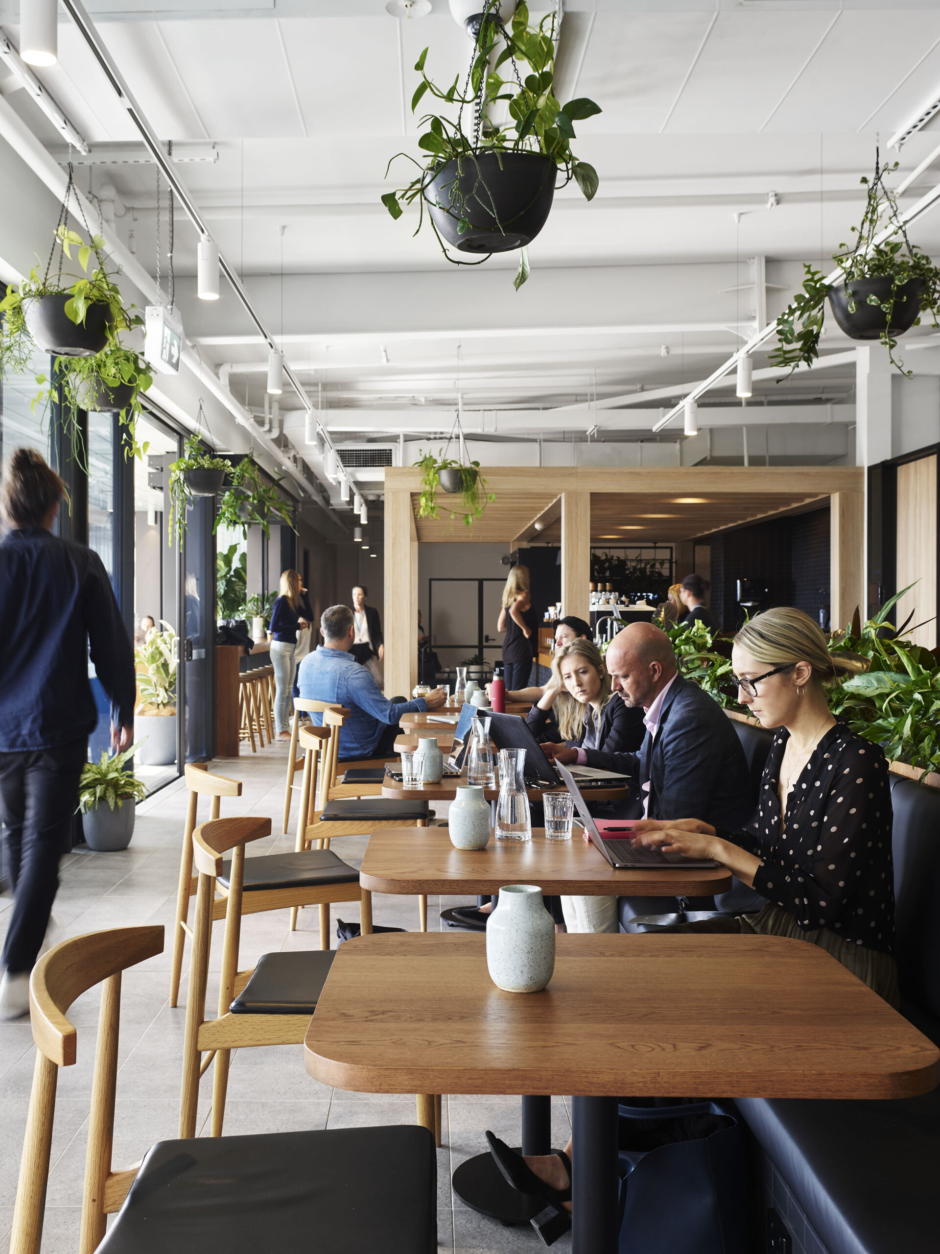 Hub_Australia_223_Liverpool_St_Sydney_29041940509