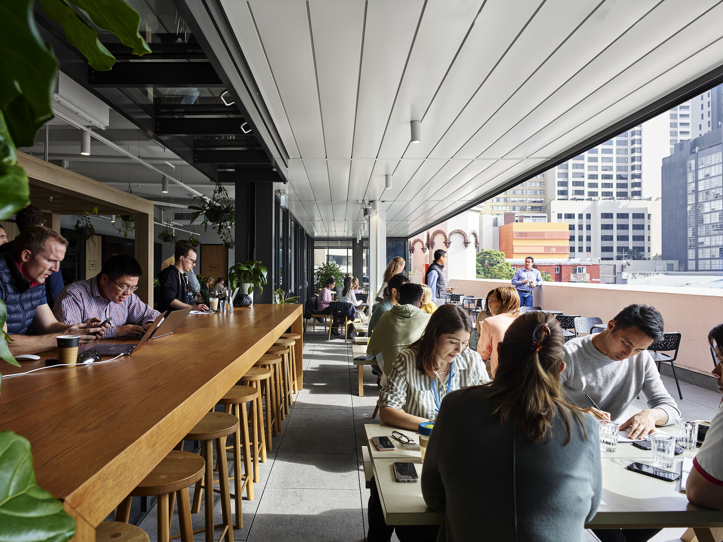 Hub_Australia_223_Liverpool_St_Sydney_29041940582 (1)