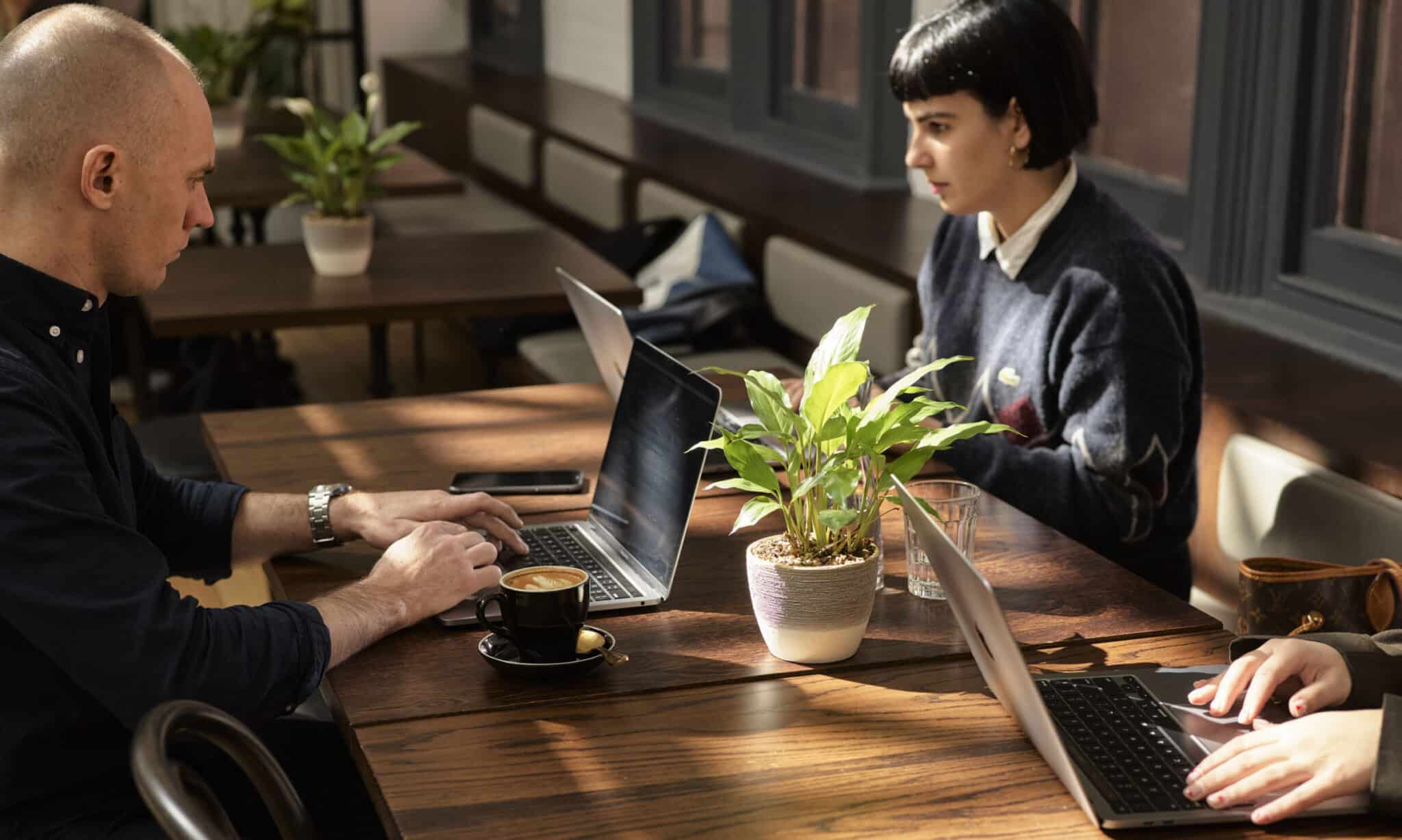 people working at a desk in cafe with plants in