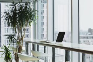 laptop on bench with plants in background