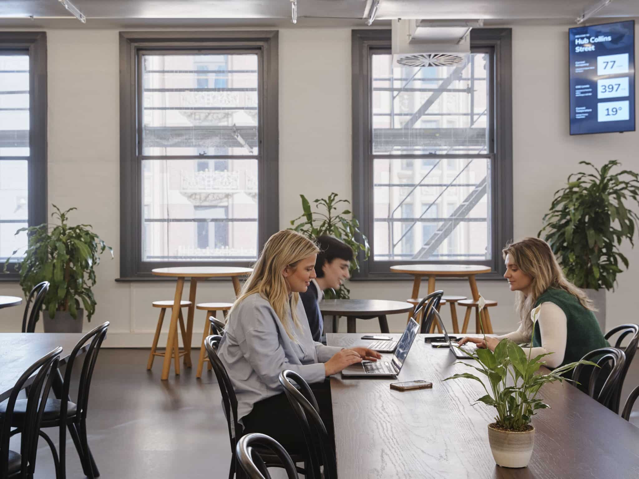 Three women working in a café