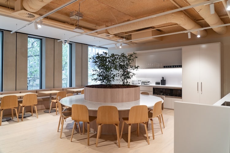 brightly lit kitchen with large windows and a round table decorated with indoor plants